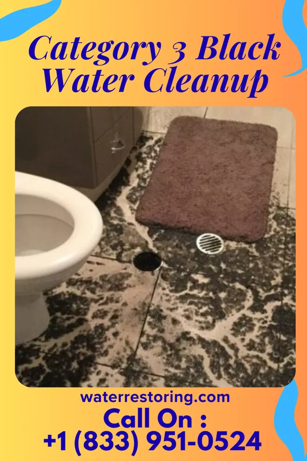 Category 3 Black Water Cleanup in Masthope, PA