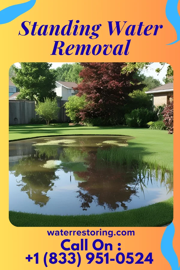 Standing Water Removal in Masthope, PA